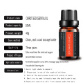 Good Quality Carrot Seed Essential Oil for SkinCare