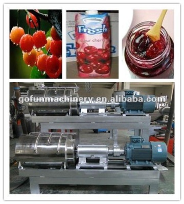 Industry Grape Pulping Machine