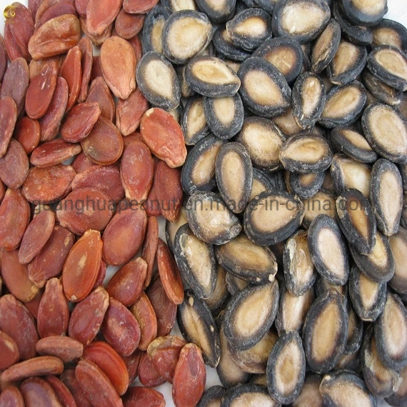 Factory Price Popular Snacks Watermelon Seeds