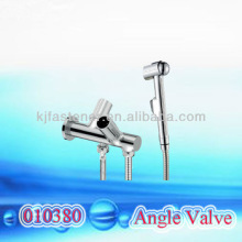 Pet using cold mixing valve