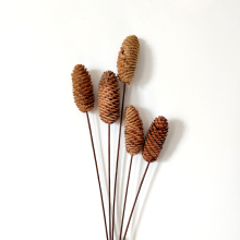 Large Natural Dried Pine Cones - Decorative Christmas Tree Ornaments