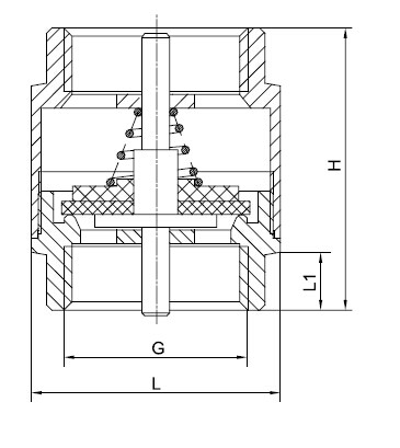 Brass spring check valve draft