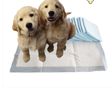 Activated carbon filter training pad