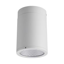 40W Led Surface Mount Die Cast Aluminum Downlight