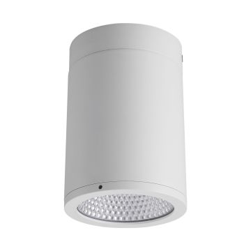 40W Led Surface Mount Die Cast Aluminum Downlight