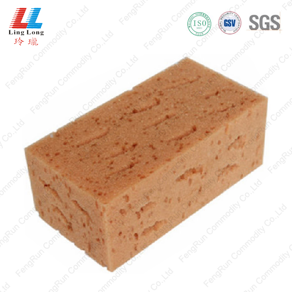 Sponge Foam