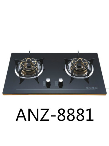 Kitchen burning gas ANZ - 8881