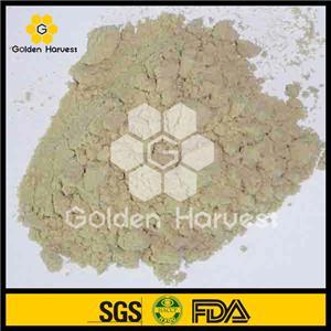 Queen Bee Larva Powder