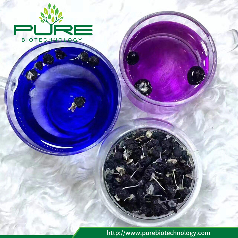 Bacca nera organica di goji in acqua Organic Black goji berry in water