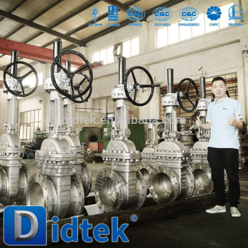 Didtek China industrial Ammonia inside screw gate valve