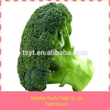 Frozen broccoli asian frozen vegetables and fruits