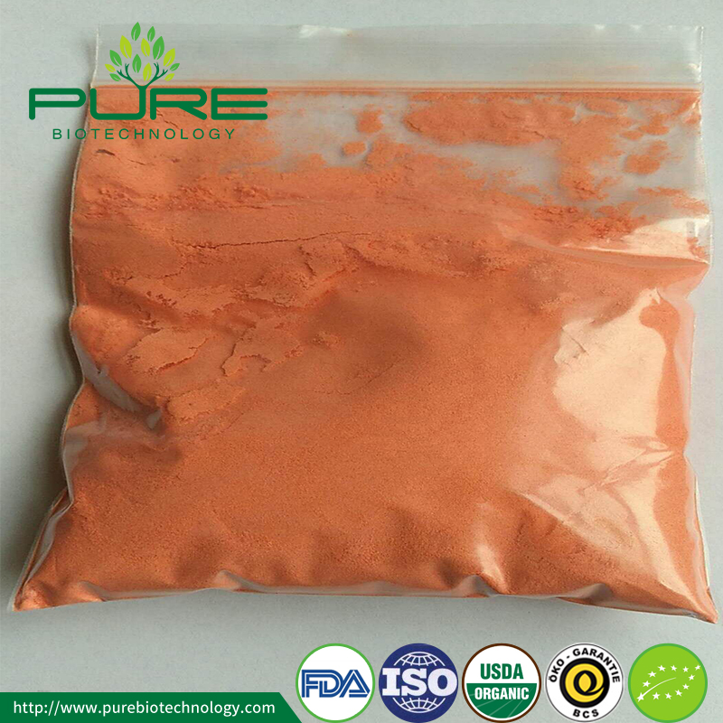 ผงโกจิเบอร์รี่ 4 Goji Berry Powder 4