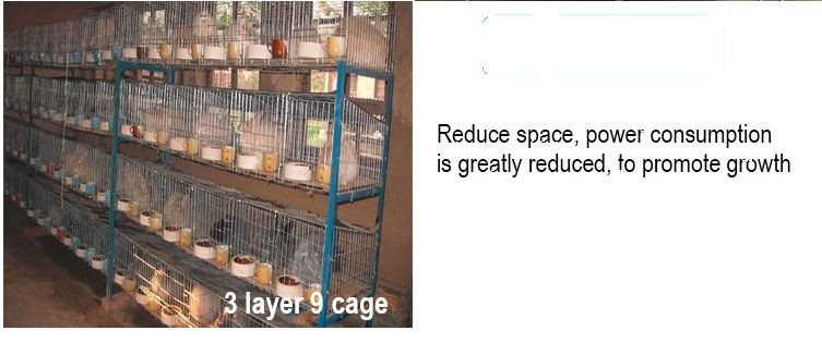 Cheap Rabbit Farming Cage