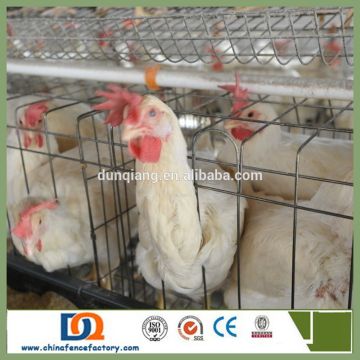 Alibaba Agricultural Equipment Design Layer Chicken Cages for Africa Poultry Farm