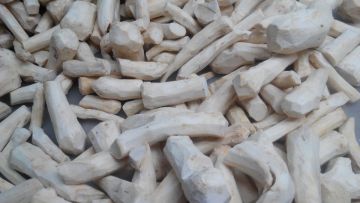 Hot frozen whole horseradish roots