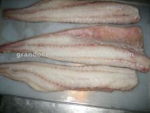 Alaska Pollock fish