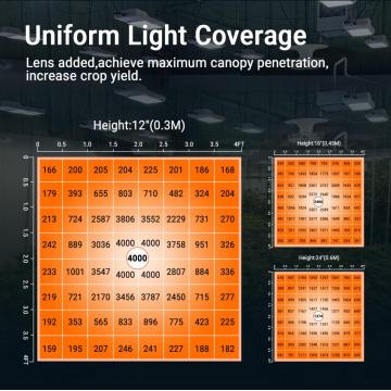 Commercial 800w Board Led Growth Lamp