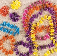 Plumeria Flower Island Leis