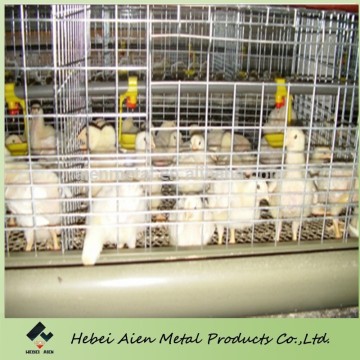 layer baby chicks cage