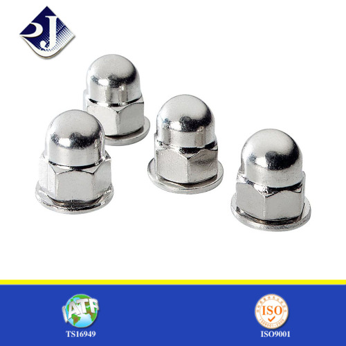 Hexagon High Tensile Steel Cap Nut