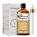 Natureza pura Angelica Oil Steam Destilação para suavizar a massagem