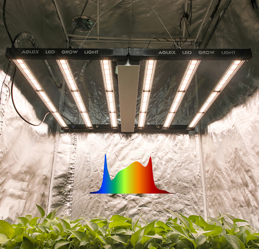 Tam Spektrum En Büyük Güç 720W LED Grow Işık