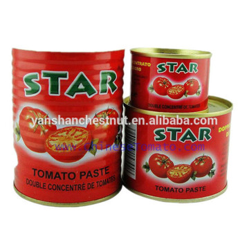 canned tomato paste Tomato Puree Tomato Ketchup tomato paste in drums