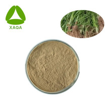 Anemarrhena Rhizome Extract Timosaponin 2% en polvo