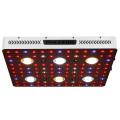 Novo Cob de chegada LED Grow Light