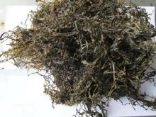sublimated dried cut kelp