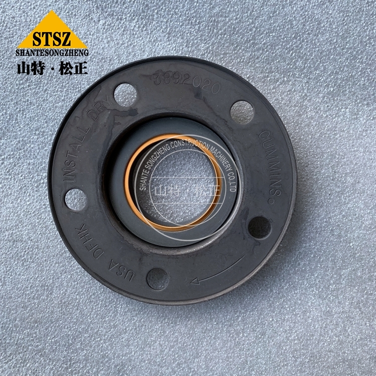 3892020 6 Jpg 3892020 6 Jpg