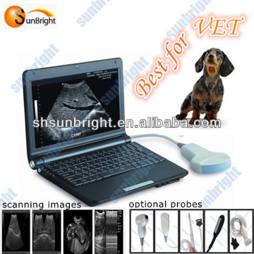 small animals ultrasound vet