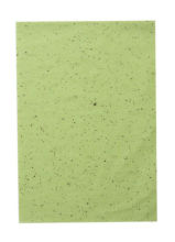 Facial Clean Oil paper Green Tea