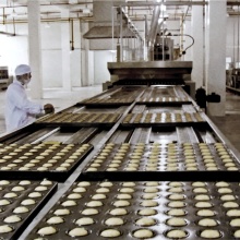 High Capacity Automatic Cake Production Line Search Engine