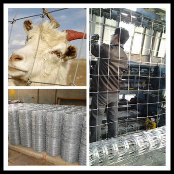 Galvanized cattle fence / Grassland fence / Deer / Horse / Sheep