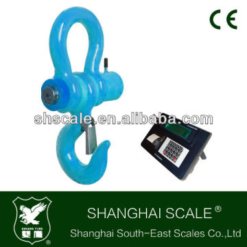 15ton Printing Crane Scale