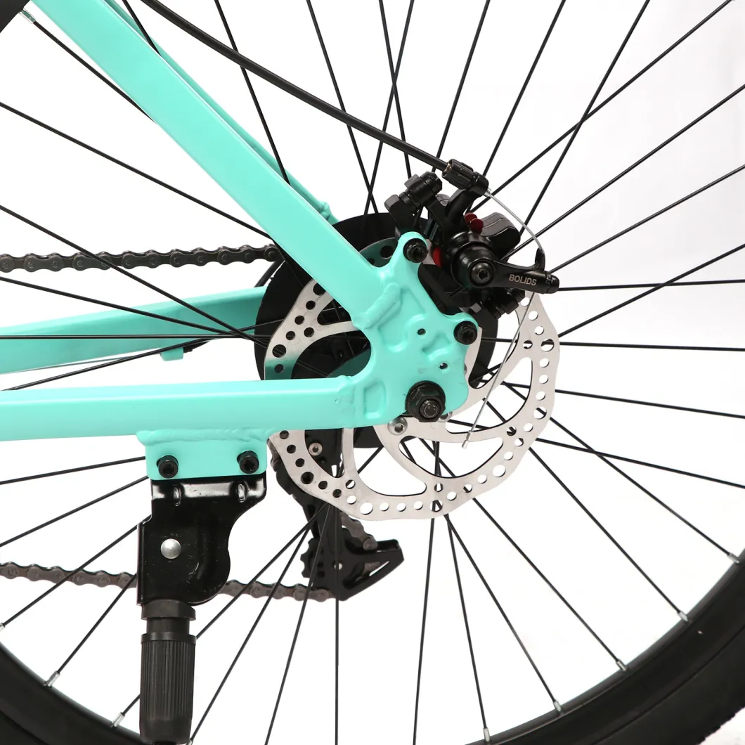 Avasta High Quality Disc Brake 21 Speed Mountain Bicycle