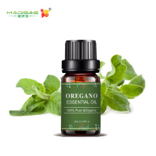 جملة OEM/OEM Oregano الزيوت العطرية لفقدان الوزن