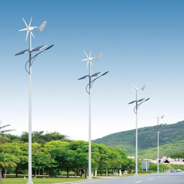 Hot Sale Wind Solar Hybrid Street Light with Pole