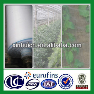 Supply HDPE Plastic Insect Window Screen/Anti Insect Net