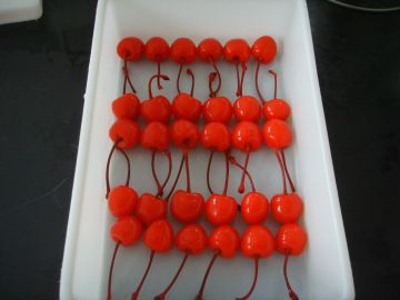 Whole Iqf Healthy Canned Fruit In Syrup , Delicious Canned Cherries