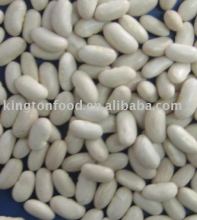 White beans spanish type