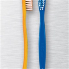Promotional Adult Toothbrushes