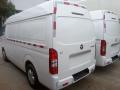 FOTON 4 x 2 eingefroren vans