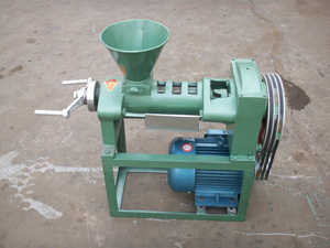 Cold Oil Extraction Avocado Oil Press Machine