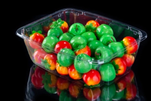 Clear disposable plastic salad bowl