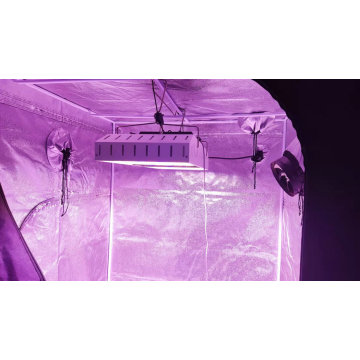 Kwaliteit 800W LED Grow Light voor indoor planten