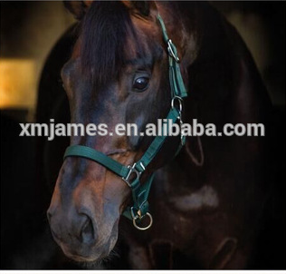 Headcollar with detachable velcro