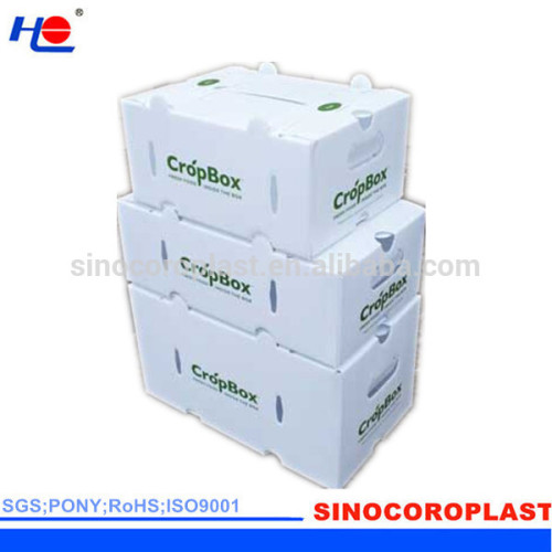 Corflute Stackable Plastic Containers