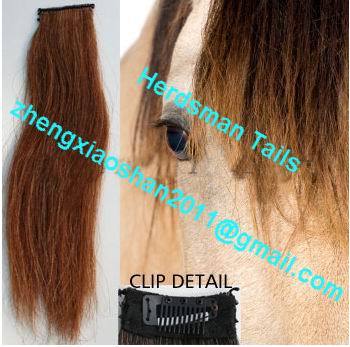 Clip horse hair forelock